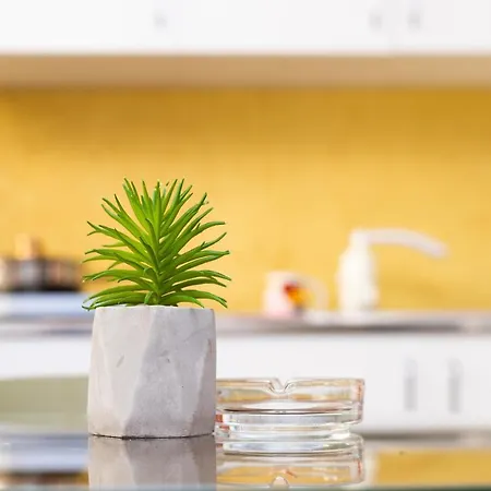 Apartmán Modern *